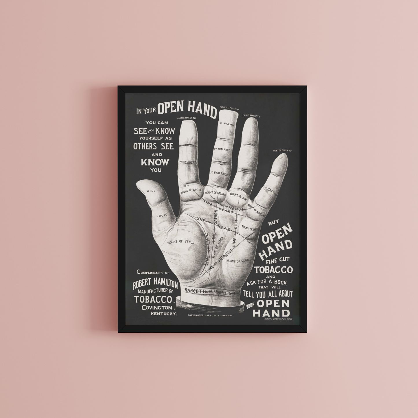 Palm Reading