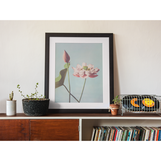 Lotus Flowers | Ogawa Kazumasa