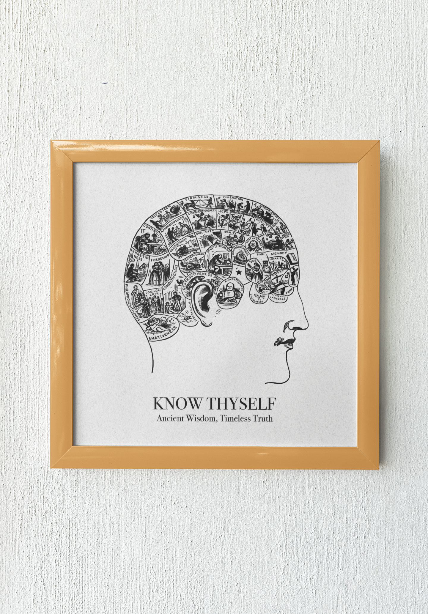 Know Thyself | Phrenology Illustration