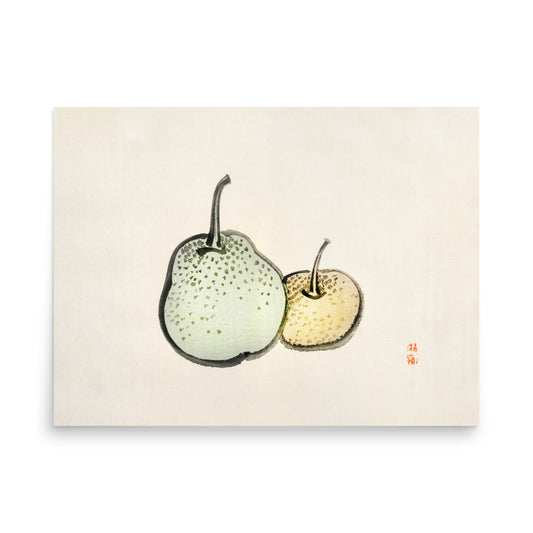 Pears illustration by Kōno Bairei (1844–1895), showcasing intricate botanical details and Japanese artistic precision.