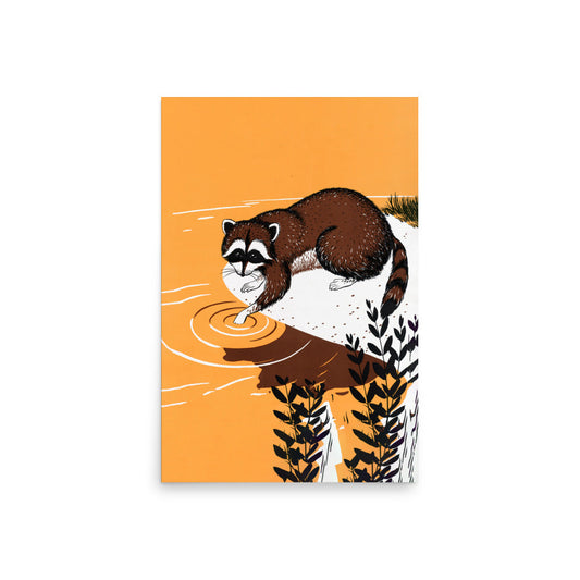 Raccoon Poster